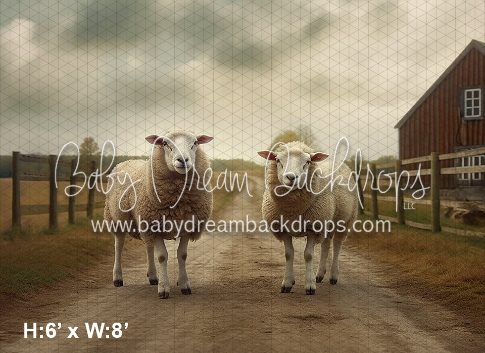 Sheep on the Farm (AZ)