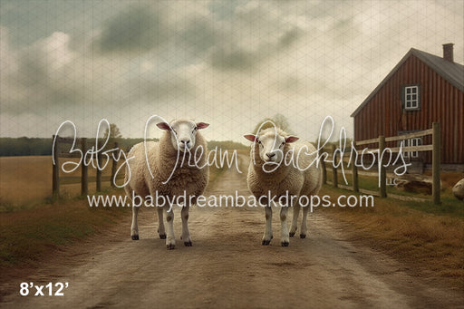 Sheep on the Farm (AZ)