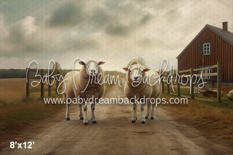 Sheep on the Farm (AZ)