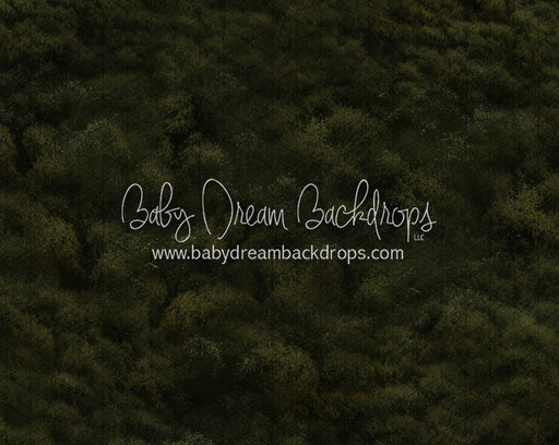 Showtime Grass Floor (JA)