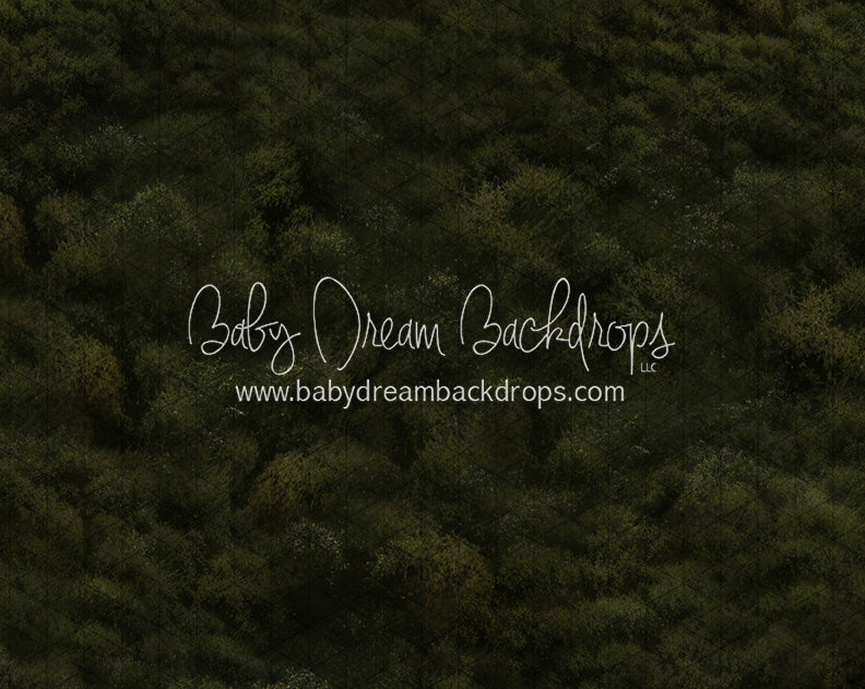 Showtime Grass Floor (JA)