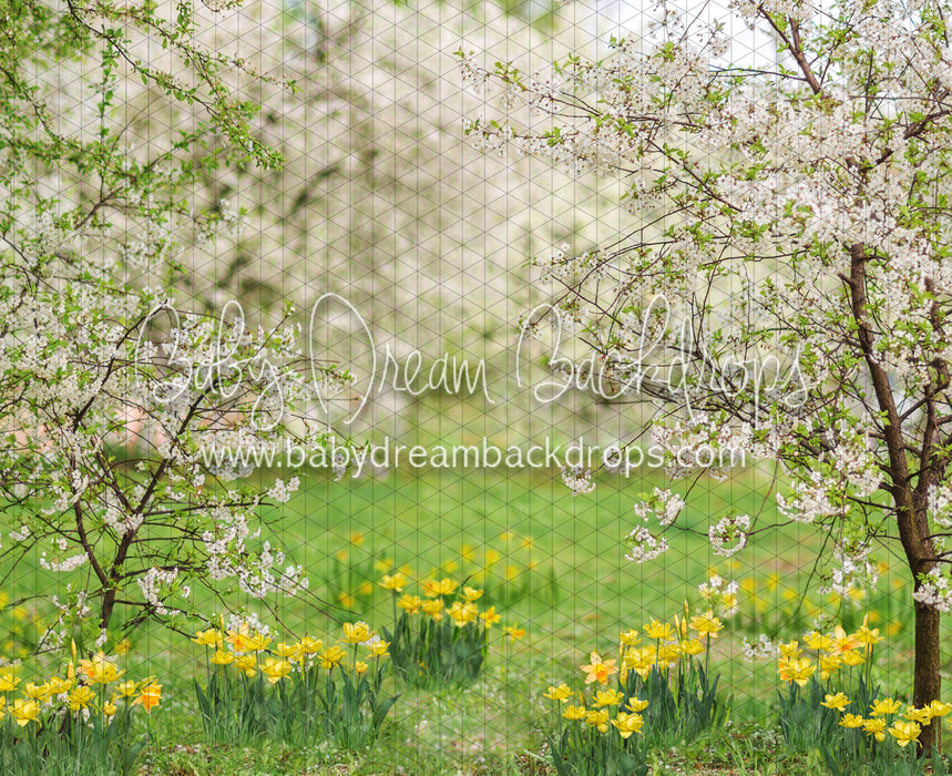 Simple Spring Blossoms (JA)