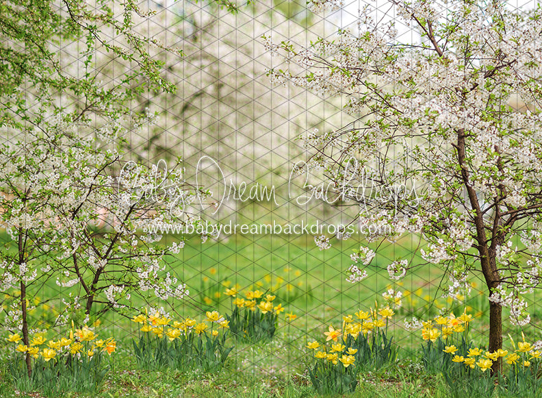 Simple Spring Blossoms (JA)