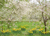 Simple Spring Blossoms (JA)
