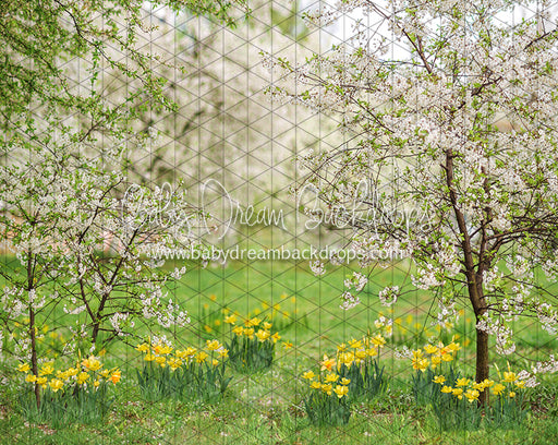 Simple Spring Blossoms (JA)