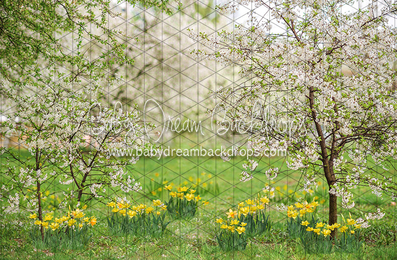 Simple Spring Blossoms (JA)