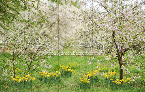 Simple Spring Blossoms (JA)