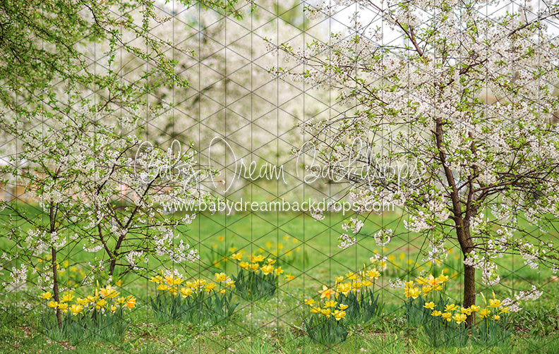 Simple Spring Blossoms (JA)