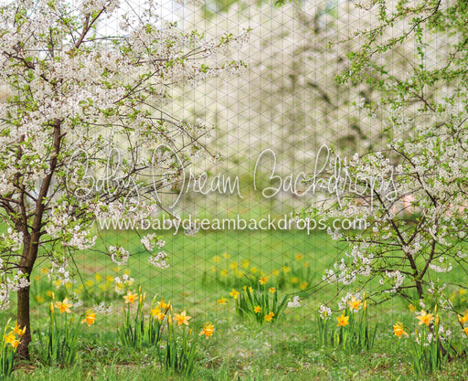 Simple Spring Meadow (JA)