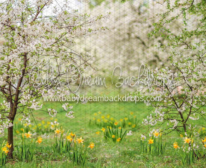 Simple Spring Meadow (JA)