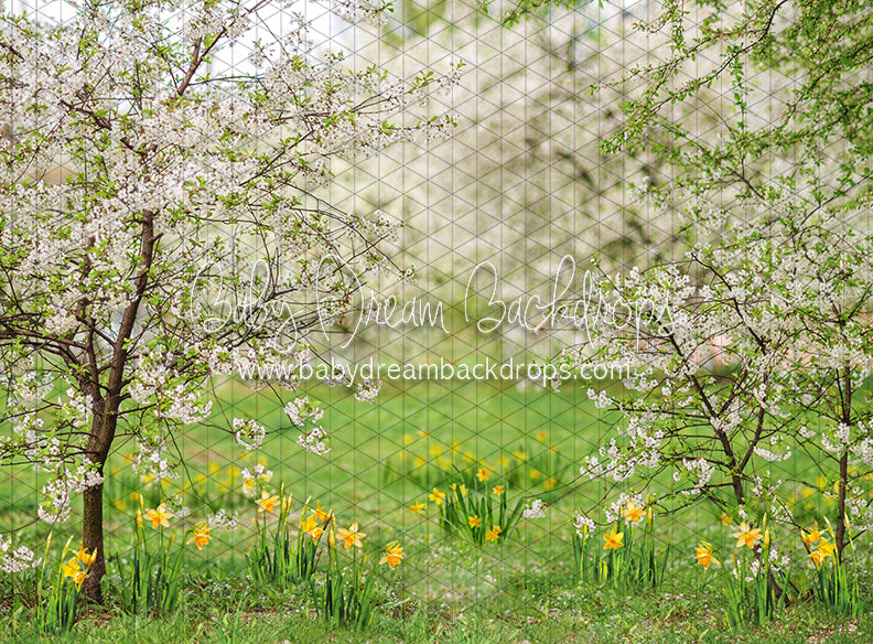 Simple Spring Meadow (JA)