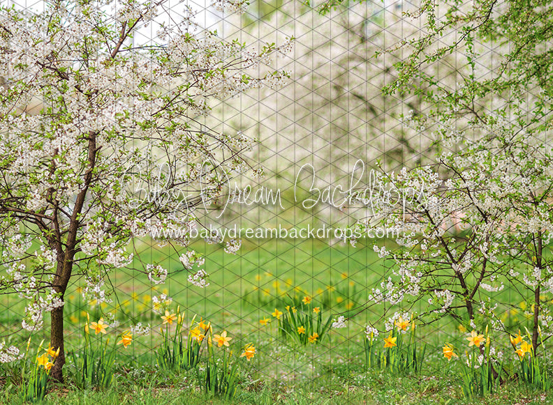 Simple Spring Meadow (JA)