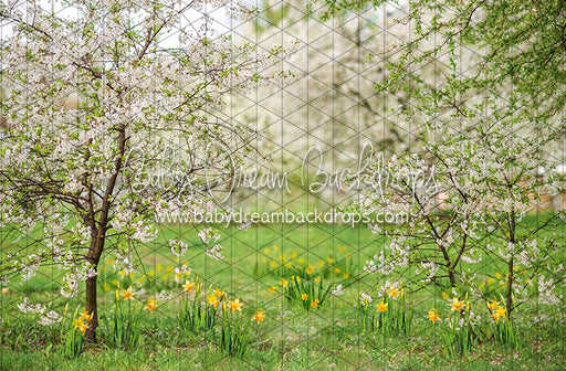 Simple Spring Meadow (JA)