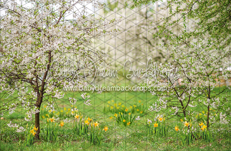 Simple Spring Meadow (JA)