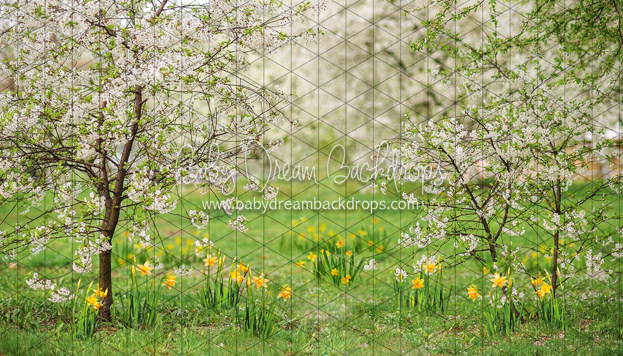 Simple Spring Meadow (JA)