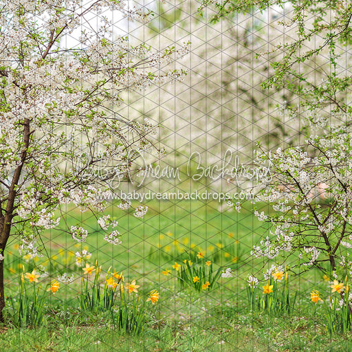 Simple Spring Meadow (JA)