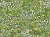 Simple Spring Meadow Floor (CC)