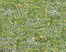 Simple Spring Meadow Floor (CC)