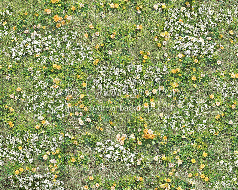 Simple Spring Meadow Floor (CC)