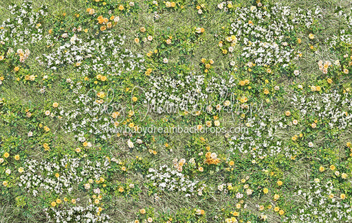 Simple Spring Meadow Floor (CC)