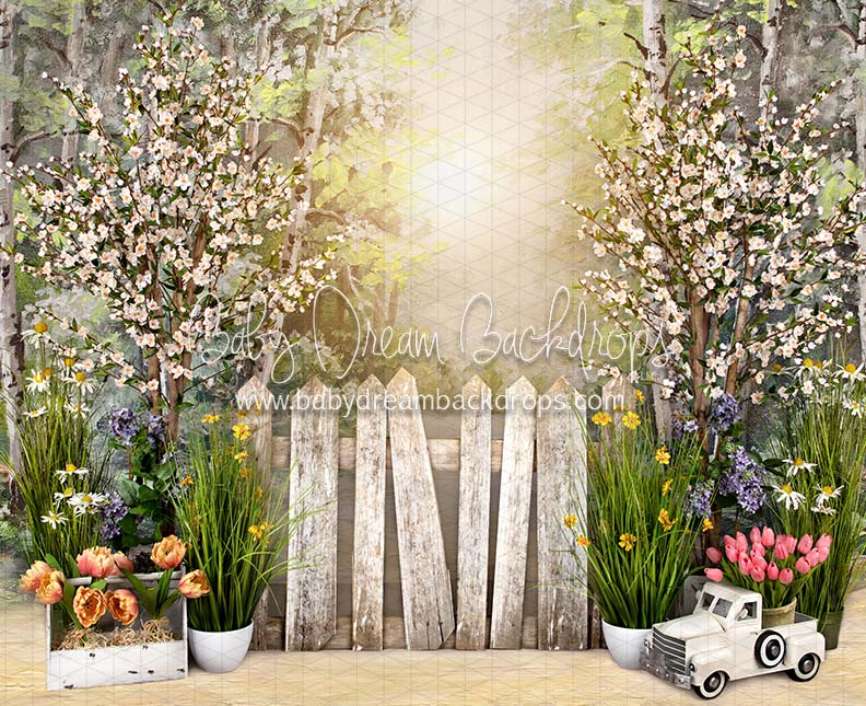 Simple Spring Morning