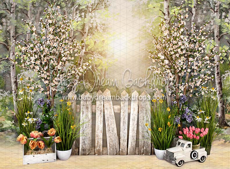 Simple Spring Morning