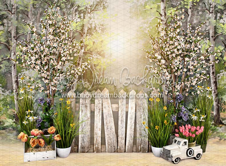 Simple Spring Morning