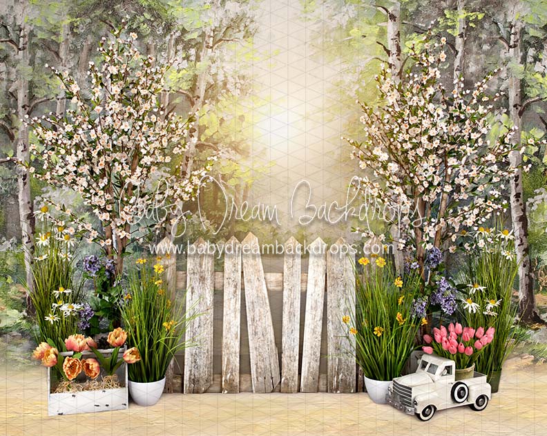 Simple Spring Morning