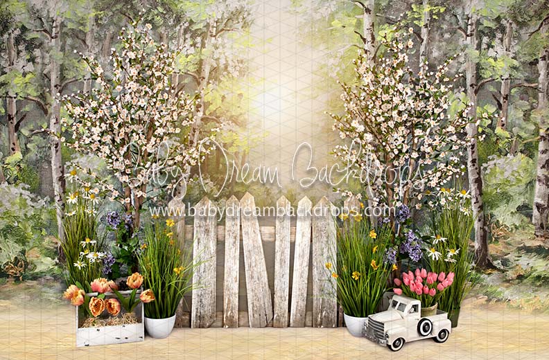 Simple Spring Morning