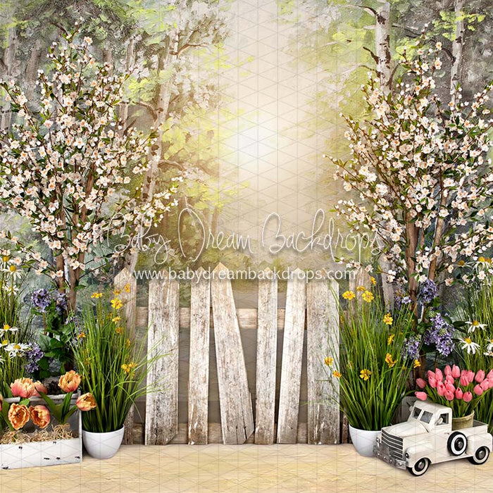 Simple Spring Morning