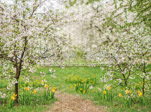 Simple Spring Path (CC)