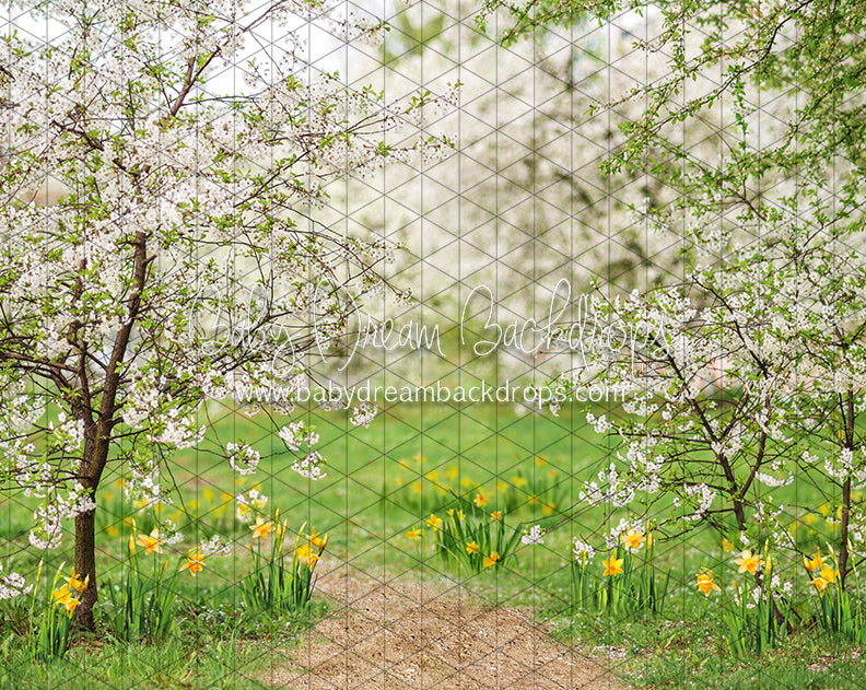 Simple Spring Path (CC)