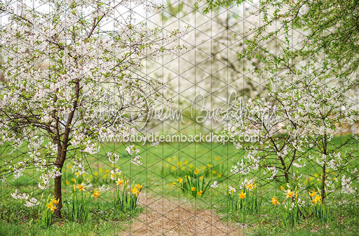 Simple Spring Path (CC)