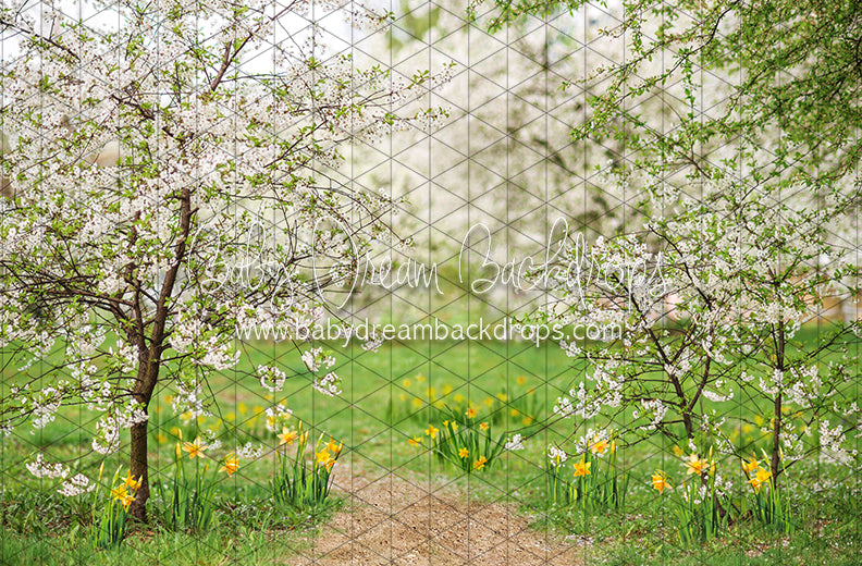 Simple Spring Path (CC)