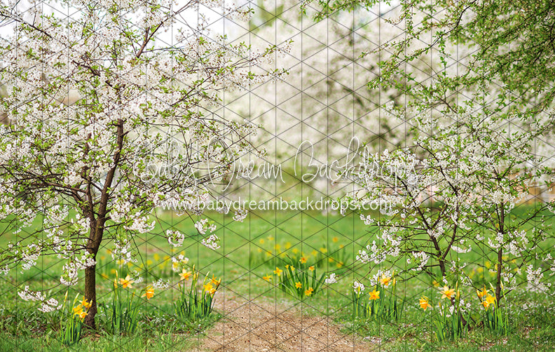 Simple Spring Path (CC)