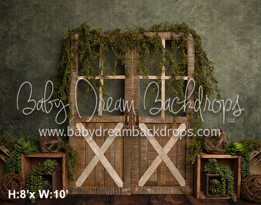 Simple Succulents (BD)