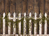 Simple Spring Fence - 60Hx80W - JA  