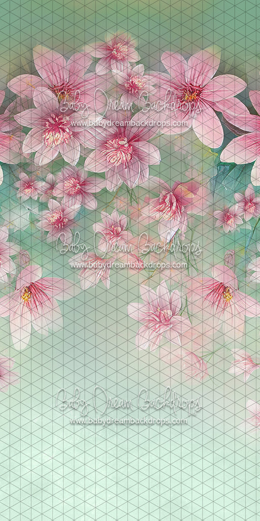 Skinny Sweet Spring (LL)