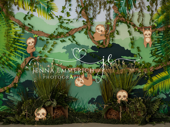 Sloths in the Jungle
