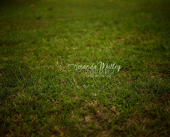 S'more Camping Floor