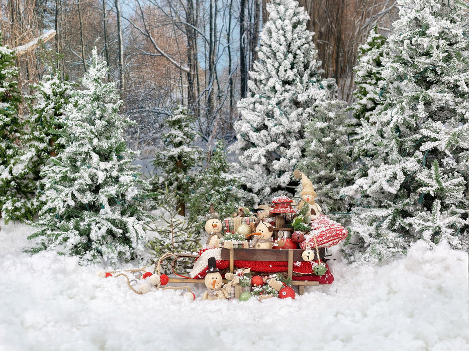 Snowman Sleigh No Lights