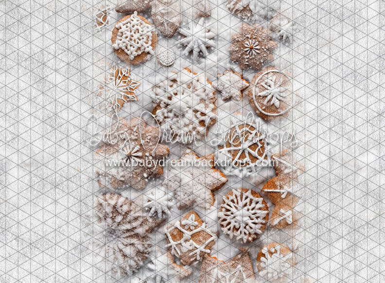 Snowy Cookie Path (JA)