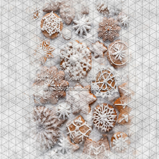 Snowy Cookie Path (JA)