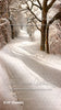 Sweeps Snowy Path (SM)