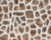 Snowy Rusty Stones Floor (CC)