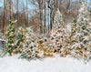 Snowy Trees