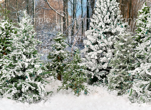 Snowy Trees Morning