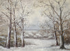 Snowy Memories - 60Hx80W - CC TESTER  