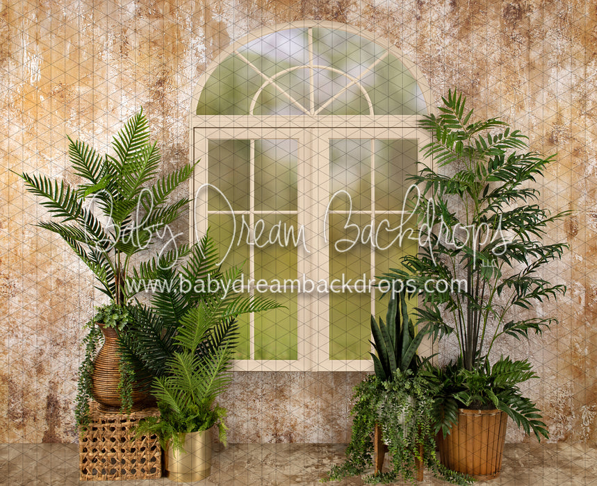 Sophisticated Spring Cream Window (JA)