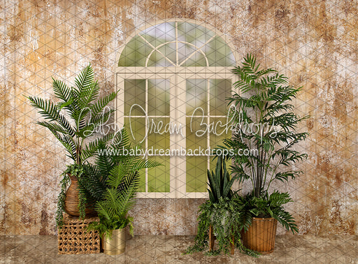 Sophisticated Spring Cream Window (JA)